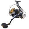 DAIWA 25 SALTIGA (G)