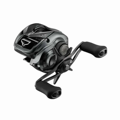 DAIWA 24 TATULA SV TW 100