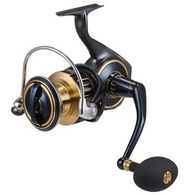 DAIWA 25 SALTIGA (G)