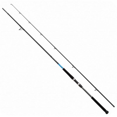 SHIMANO BASSTERRA XT SHORE JIGGING SHIMANO BASSTERRA XT SHORE JIGGING